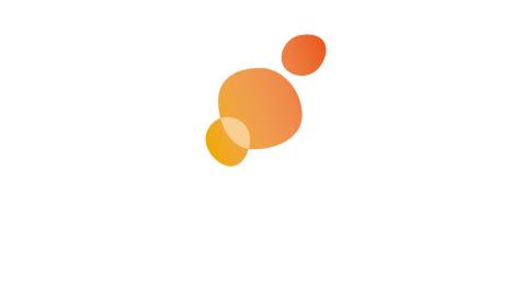 The Beach Of The Canaries Fuerteventura the-beach-of-the-canaries-fuerteventura